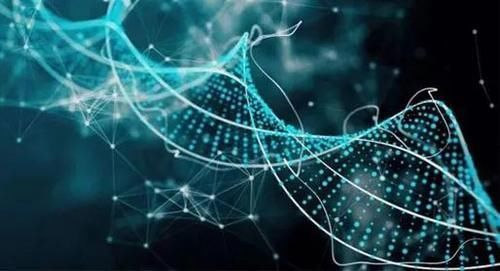 无知|皮炎伴随在我们的生活之中 对“敌人”的无知终会害了自己