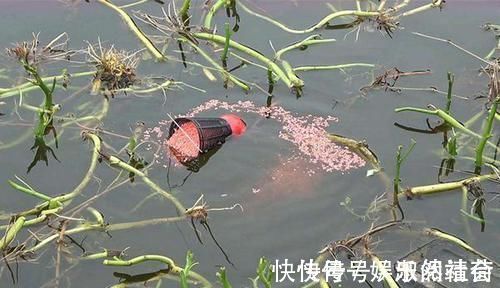 丁香酒|冬季钓鱼的诱鱼之道,用这几种方法,能把远处的鱼群“请”进窝