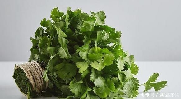 常吃香菜好处多多，但此类人尽量少吃，不妨看看有你吗？
