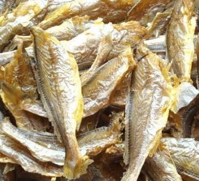 巴浪鱼巴浪鱼|这几种海鲜正肥美，便宜又营养，一次买20斤晒干，冬天做菜特香