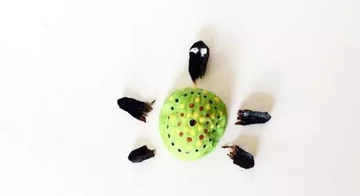 保证|吃完的坚果不能丢,坚果壳变身记,保证创意一箩筐