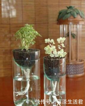 这些破烂不要扔,做成“小花盆”,个性又漂亮,比买的强“百倍”!