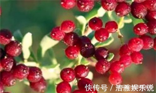 强身健体|女性担心长满皱纹,推荐常吃4种食物,美容养颜,预防子宫早衰