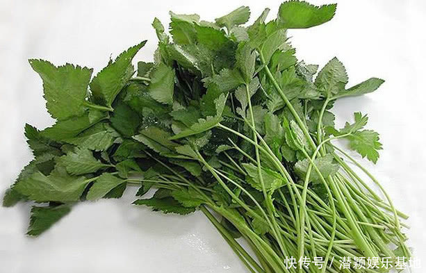 药食两用的传统草药,在国内少有人知,在日本却被人们大力追捧