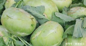 食物|对身体十分有益的食物,每天吃些,补充营养,排毒润肠!