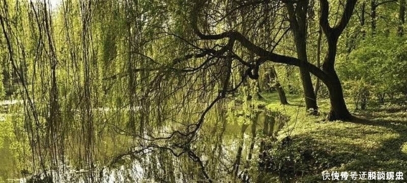 这首诗|杨万里这首诗清新脱俗,表现手法更是高超,成为宋诗里的咏柳名篇