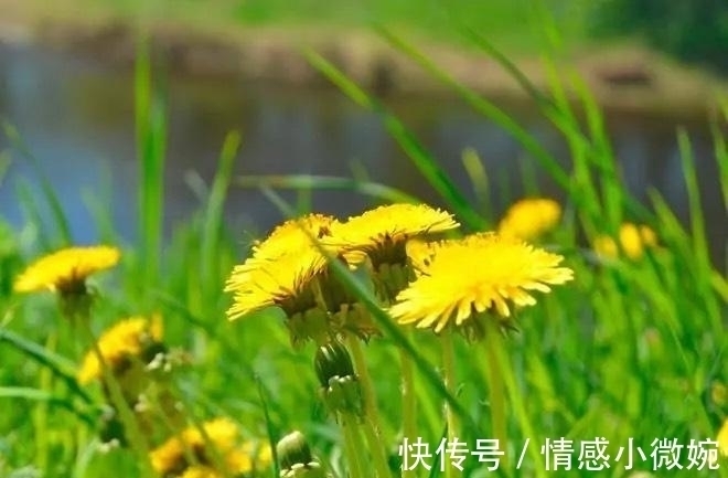 切莫&生活与妙招:18个有趣又聪明的小妙招,摆脱孩子带给你的烦恼