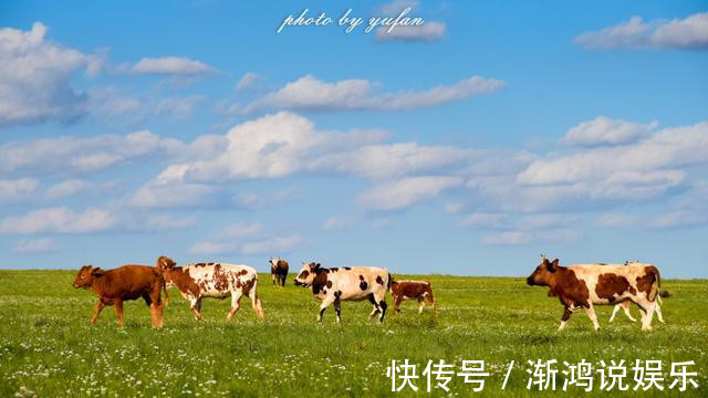 石林|草原自驾游，最美的风景在路上，别忽略窗外的风景