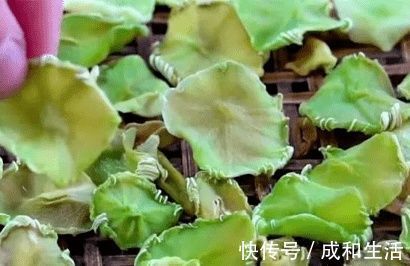 吃法|这几种菜晒干后,比新鲜的都好吃,我家每年都做一些,炒肉吃最香