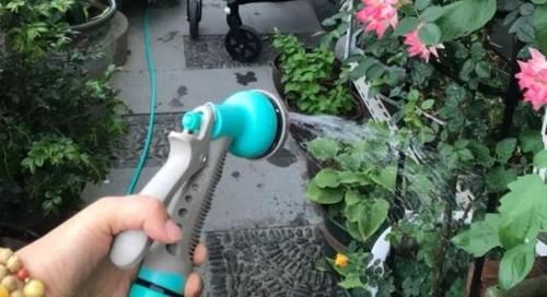 天冷养花怕冻伤，就多晒太阳多铺层它，保证呼呼疯长个