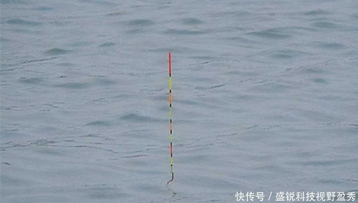 无钩调漂、半水调漂,究竟哪一种立漂调漂方法,才更好用呢