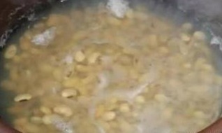 养蟹爪兰,就在盆里加“它”,轻轻松松开成花海,爆盆不是梦!