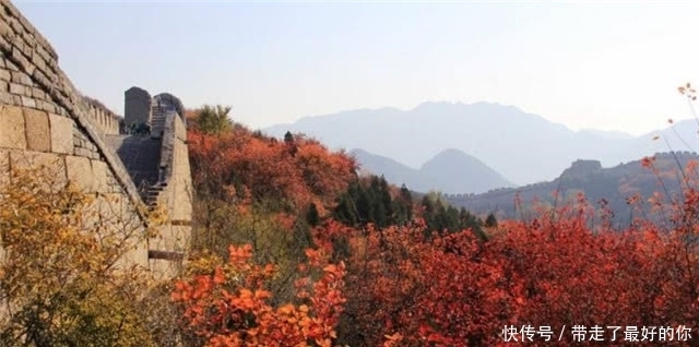 秋日读诗:繁霜尽是心头血,洒向千峰秋叶丹