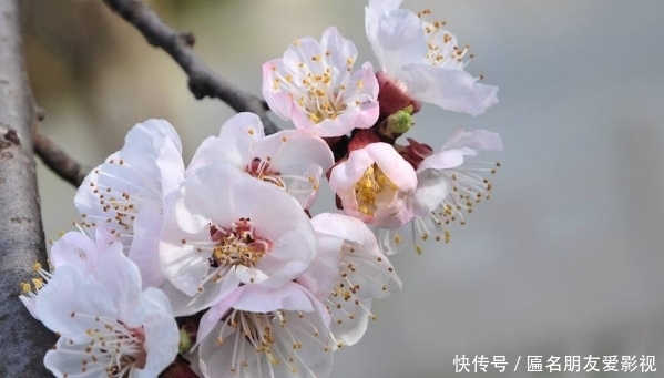 吃饭|“酒是穿肠药,色是刮骨刀”,3种酒局,就算关系再好也不要去