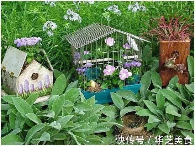 鞋子|她把家里的旧鞋子、茶壶用来种花,卖300一个邻居抢着要!