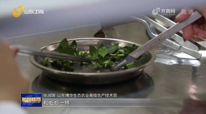 樱桃|趣味定格动画:白天和夜晚的小美有什么不一样?晚上会变成船员