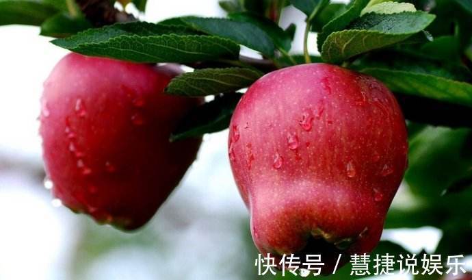 鼓鼓|女人不想身体鼓鼓太难看!多吃此果,解毒、美白祛斑、调节脂肪