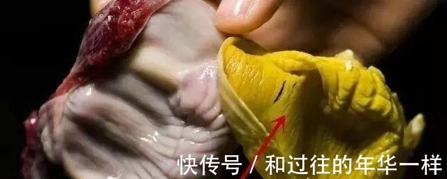 国医|国医泰斗张锡纯:擅长用它清掉体内的6种垃圾!可惜很多人都扔掉