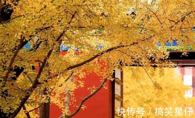 苍茫|作者曾被杜甫盛赞,一首《晚秋》苍茫辽阔,更显满眼秋色