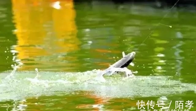 子线长度的选择技技巧