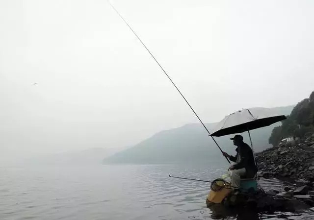 冬钓下竿前,牢记这3个“方法”,鲫鱼上的停不下来!别泄露了