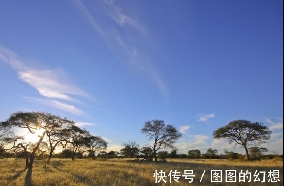 新王&非洲一部落,16岁男子继承酋长,同时继承76个妻子及400多个子女