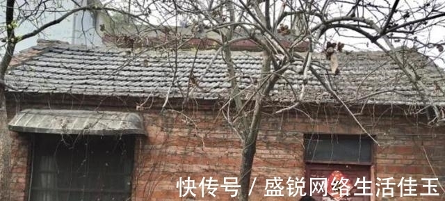 三合院|女子“爆改”破败三合院,巧变花园豪宅,父母住进来不想走,显摆