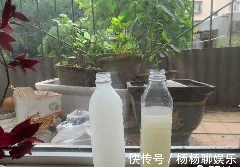 植株|养花这么“浇水”，迟早要“出事”，记住3点，啥花都好养