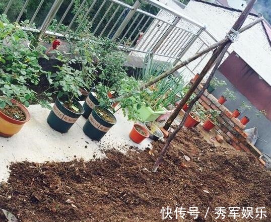 排水性|养花旧土该如何重复利用掌握这些,不用多费劲就能变成新土
