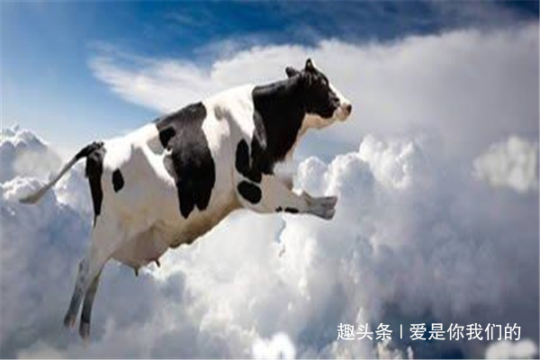 属相|生肖牛的婚配大全属牛男和属牛女,分别和什么属相最配