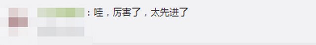 学生们|“校犬阿黄”关禁闭、小奶猫陪考……一场高考告诉你什么叫护到细节