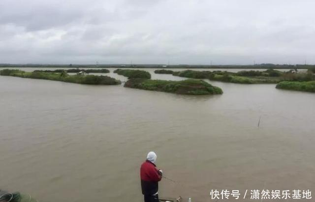 罗飞|珠江“白草鱼”泛滥，钓友爆护后担忧不已：会不会又是外来物种？