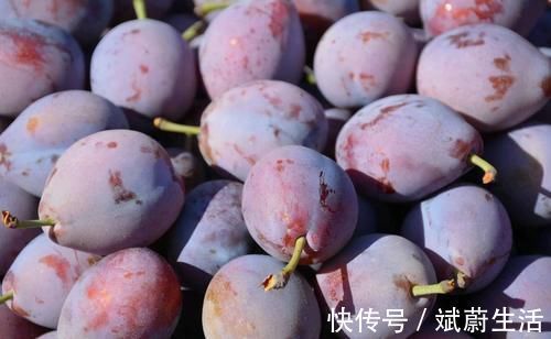 长寿|想长寿先排毒,建议吃3种食物,排毒美容,滋润肌肤,延缓衰老