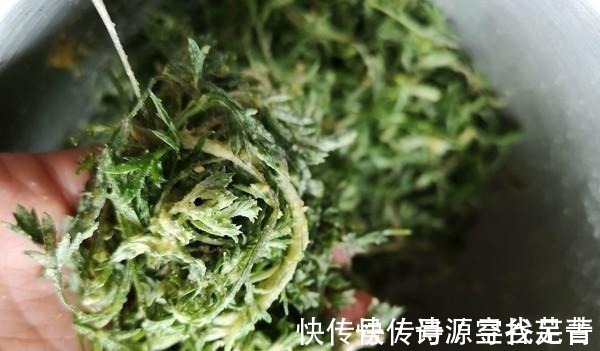 野菜|日本人每天必吃的“长寿菜”，我国产量大但没人吃，含钙比牛奶高！