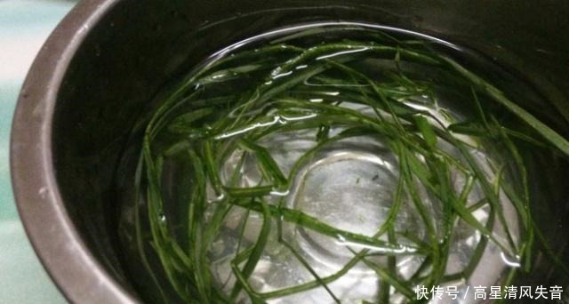 山药|他是一种植物“安眠药”,每隔三到五点吃一点