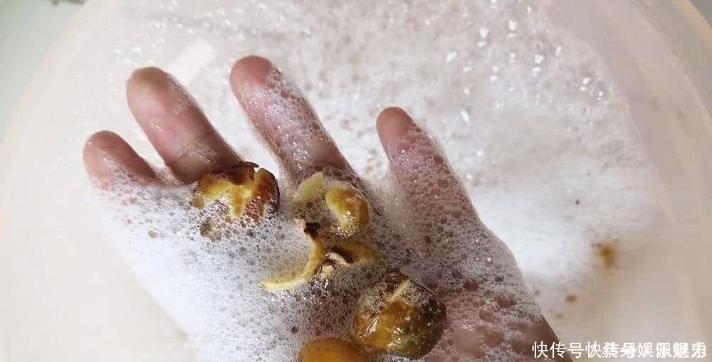 人稱“鬼見愁”，長得酷似龍眼，果肉能當肥皂用，種子能做手鏈