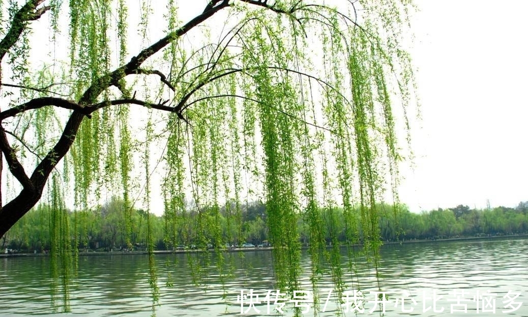 春雪&冬柳诗三首,零落衰条含蕴春意,白雪却嫌春色晚,故穿庭树作飞花