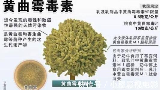 肝癌|母女二人频繁腹泻,双双查出肝癌?医生叹息:这种“汤”建议少喝