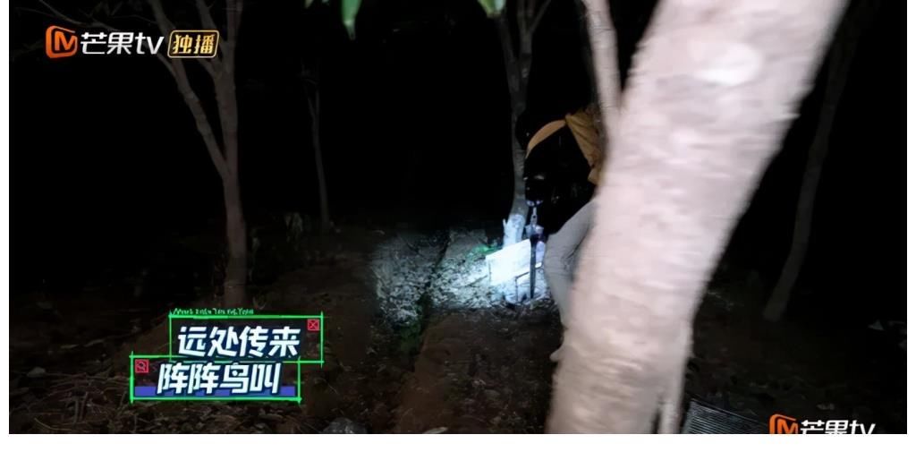 《名侦探学院》：火花四溅的心理战，学长的套路最深