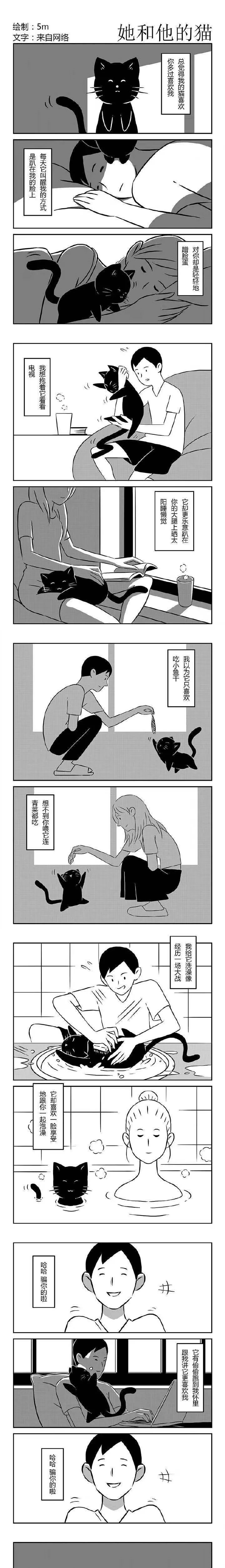 超搞笑漫画：我的猫，它非常喜欢你！