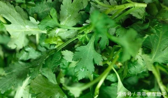 春季“头道鲜”,地道上海宁必吃!春季“头道鲜”,地道上海宁必吃!