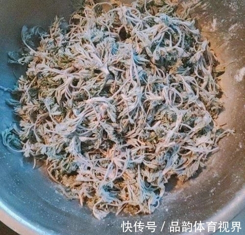 农民|这草能长半人高，是极品中药，但农民不识货，常当野草除掉！