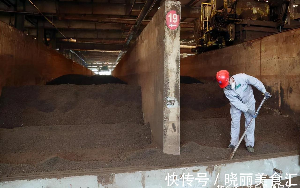 养花新手时常犯的5个养花错误，看似很美丽，实际很费钱