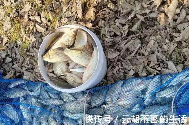 拉面哥|朱之文垂钓园,为何现在无人光顾其实,他需要做好这七点