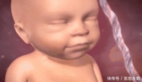 脐带|胎宝在妈妈肚子里无聊不?是时候告诉孕妈真相了,怪可爱的