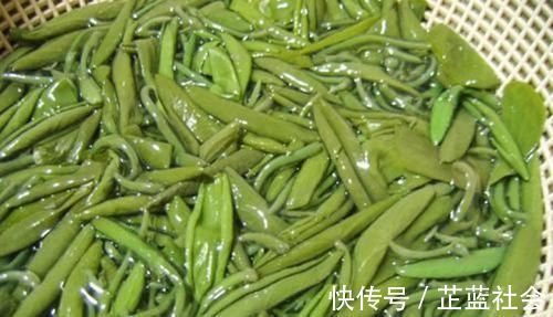 排毒养颜|5种让人头疼的“害草”，个个都是“抗癌王”，比蒲公英好100倍