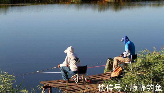 鲫鱼|冬钓板鲫，手竿难觅其踪，庆幸我有这个狠招，大板鲫一钓一个准