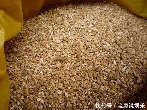 这种养花好料知道的人很少,土里加一点透气又保温,扦插时也有用