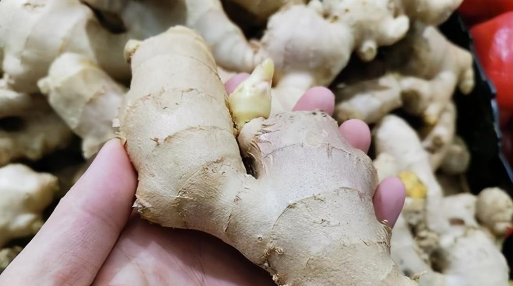 才知道这种生姜不能买,菜贩子从来不吃,为了家人健康,不妨看看