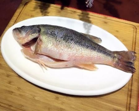 挑选鲈鱼|买鲈鱼时,不要看大小挑选,学会这几招,老板一看你就是行家